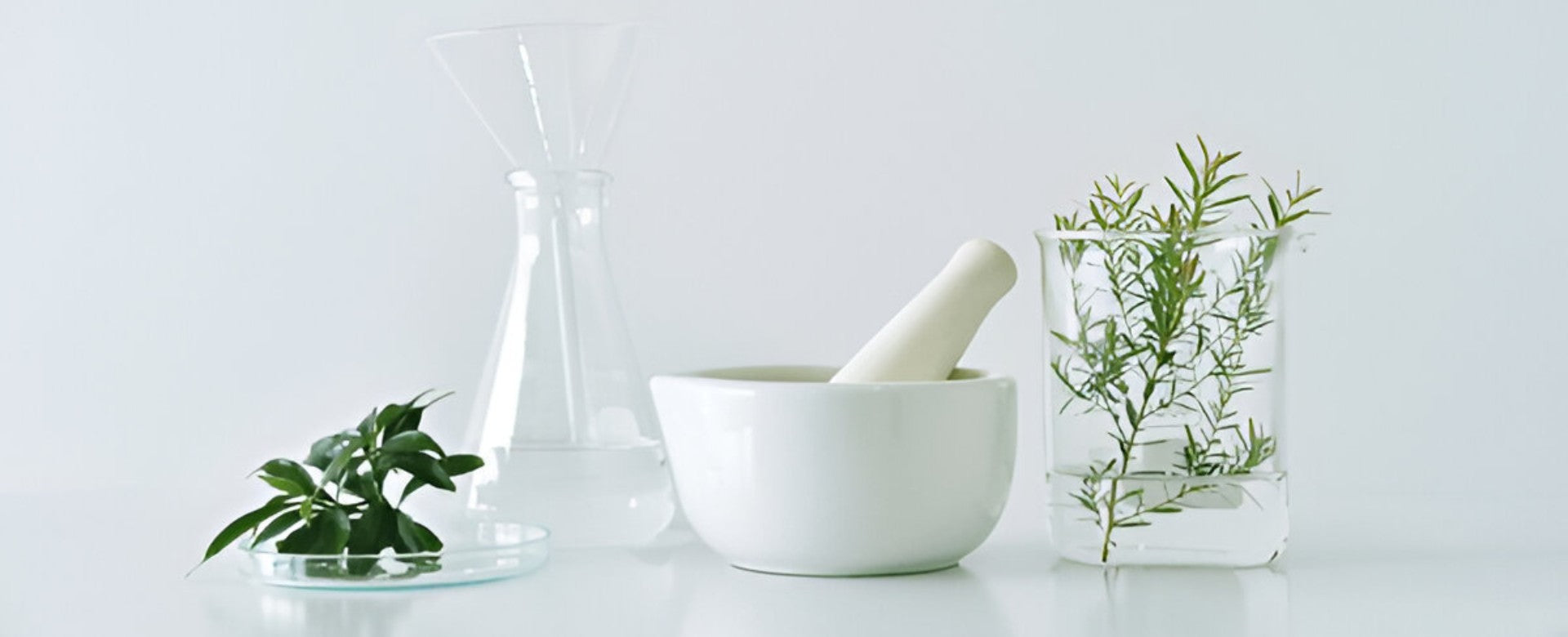 Natural and Organic Ingredients